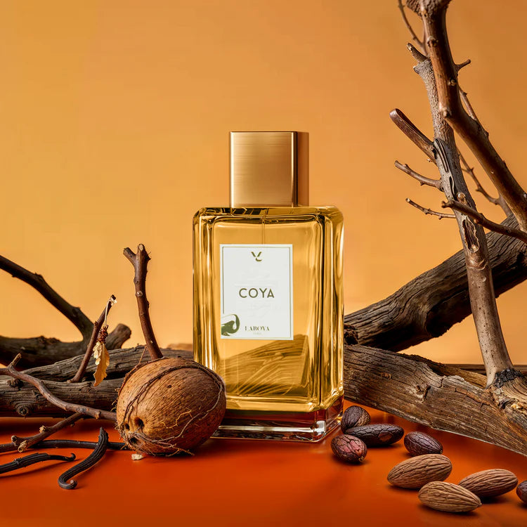 Duo Découverte Gourmand Solaire - Coya et Babycat