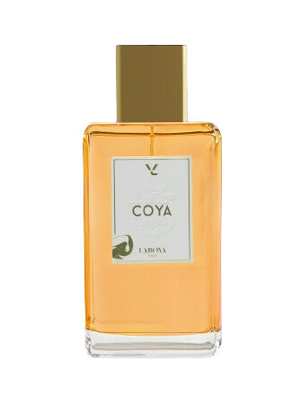 Coya - Laboya - Laboya - Vue 2